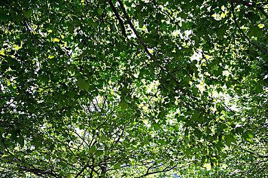 《文字游戏》系列新作《文字游戏世界》Steam页面 年内发售